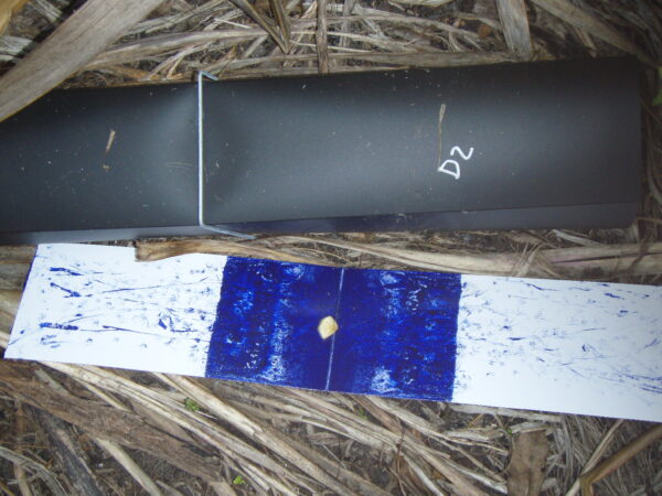 Lizard Tracking Card