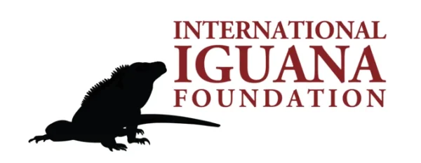 International Iguana Foundation